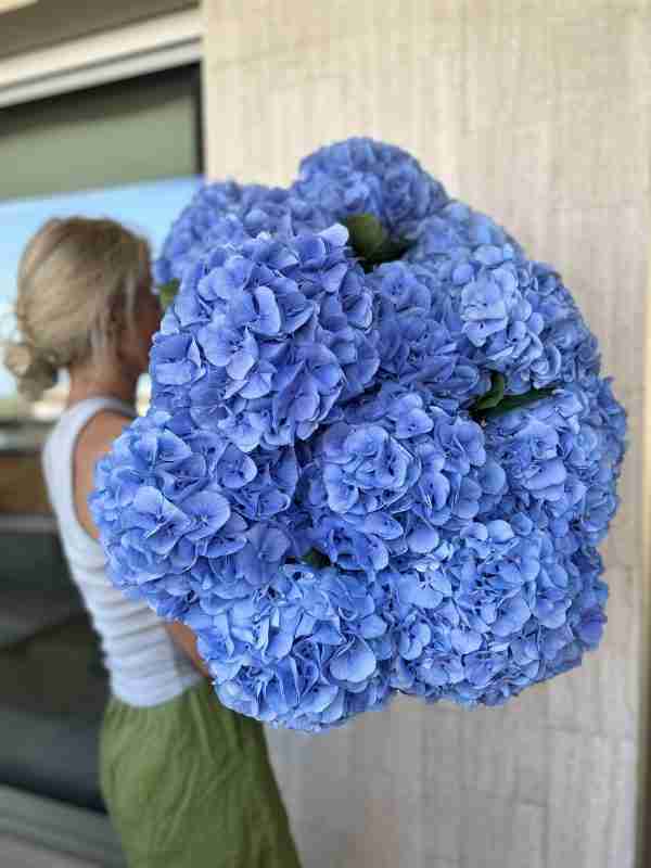 blue hydrangea mono bouquet